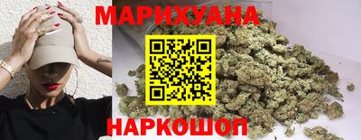 гидра Гай