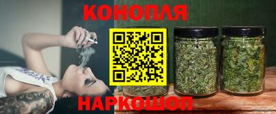 гидра Гай