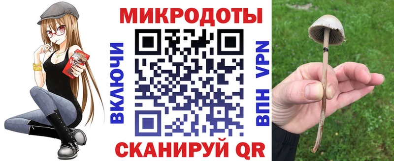 Галлюциногенные грибы Psilocybe  MEGA маркетплейс  Елизово 