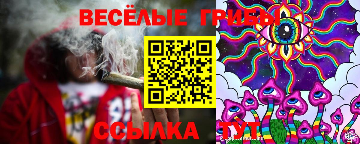 Галлюциногенные грибы прущие грибы  Вход с VPN  Елизово 